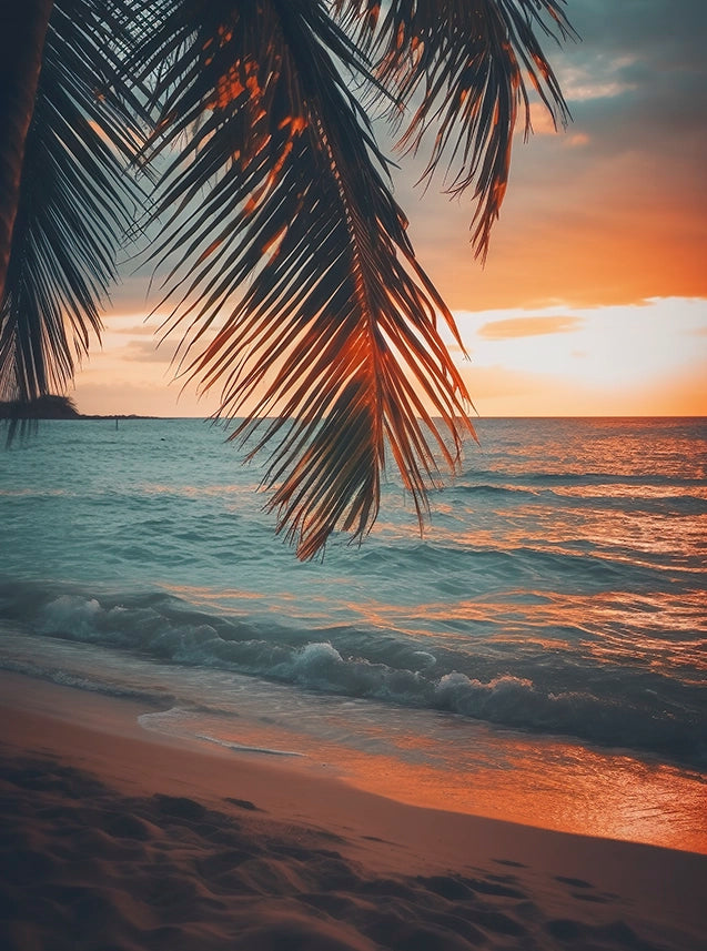 Palm Tree Beach