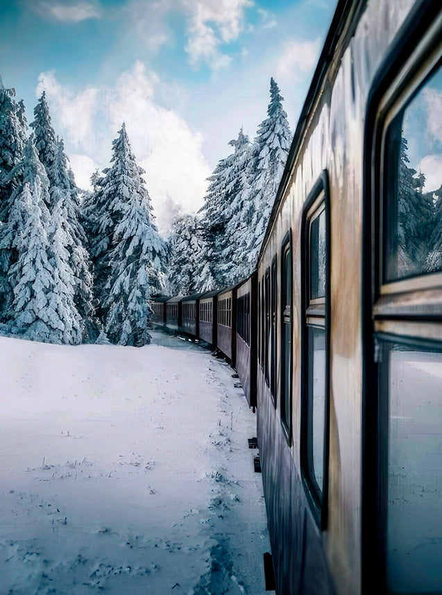 Winter Moving Train