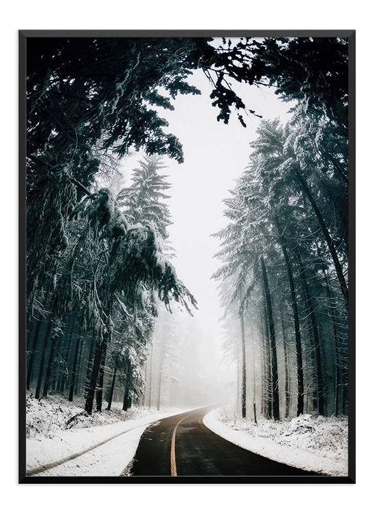 Winter Road