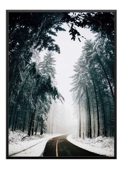 Winter Road