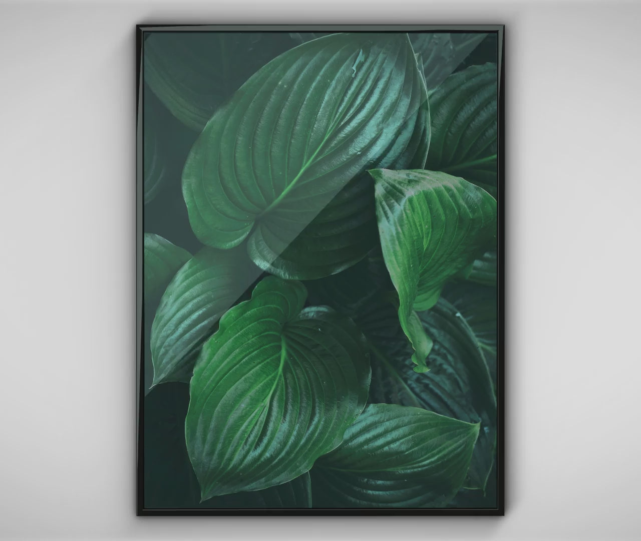 Green leaves