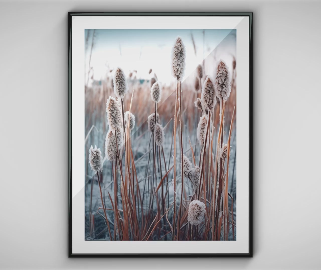 Frozen Reeds