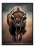 Bisonoxe Poster - Wallpicture