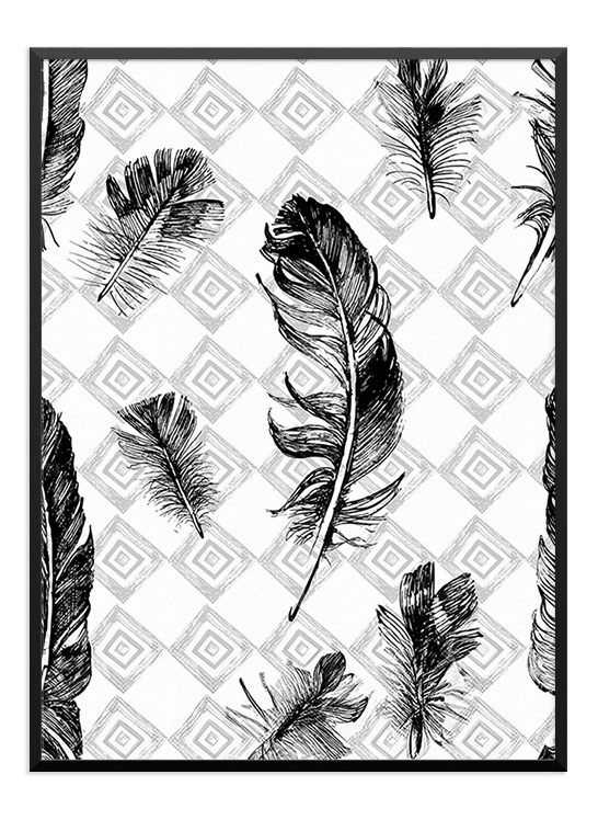 Black And White Feathers Poster - Wallpicture