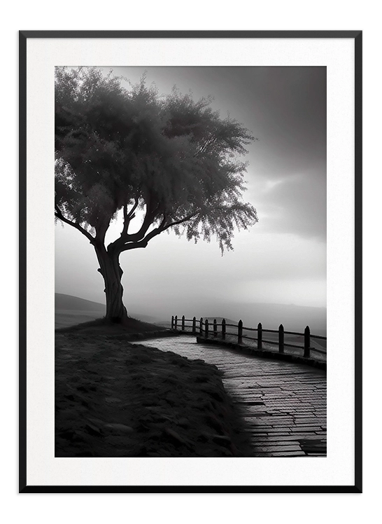 Black and White Tree Poster - Wallpicture