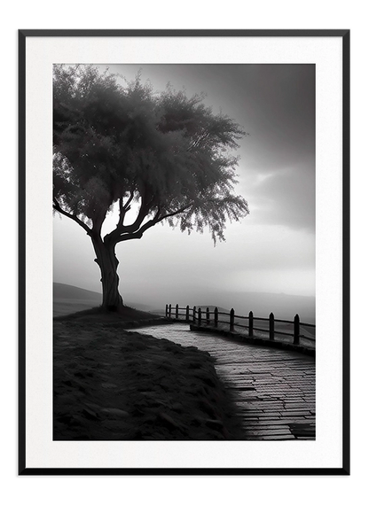 Black and White Tree Poster - Wallpicture