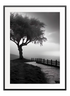 Black and White Tree Poster - Wallpicture