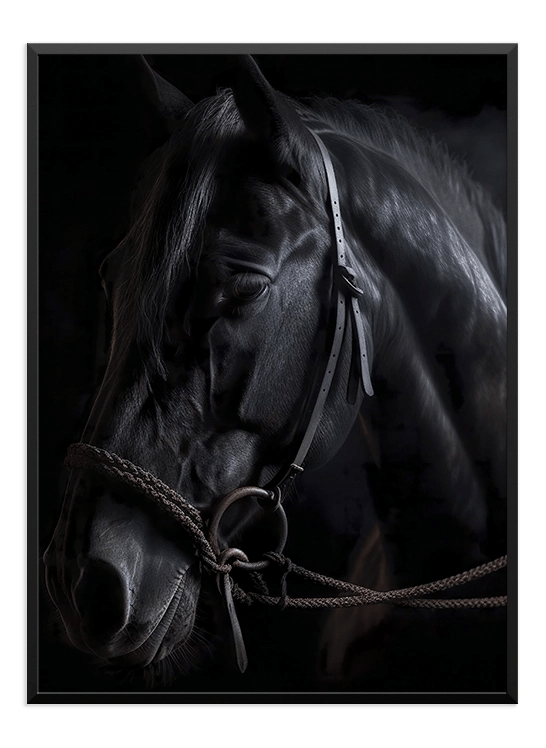 Black Horse - Wallpicture