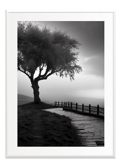 Black &amp; White Tree - Wallpicture