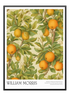 Blossoms and Fruits No. 1 Poster - Wallpicture