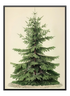 Christmas Tree Vintage Poster - Wallpicture