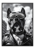 Cool Dog in Sunglasses Poster - Wallpicture