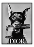 Dior Dog Poster - Wallpicture