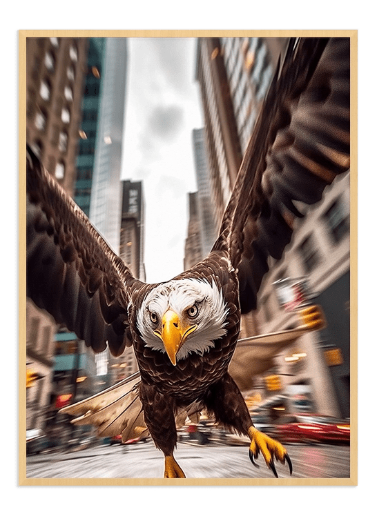 Eagle - Wallpicture