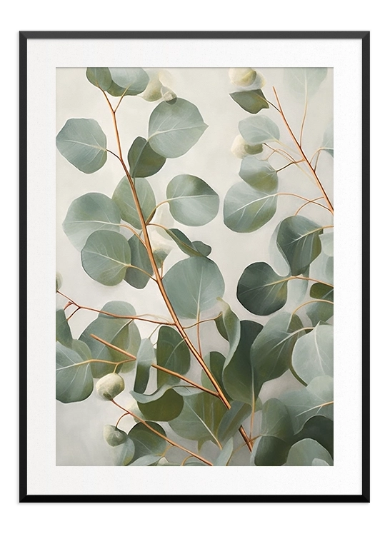 Eucalyptus Poster - Wallpicture