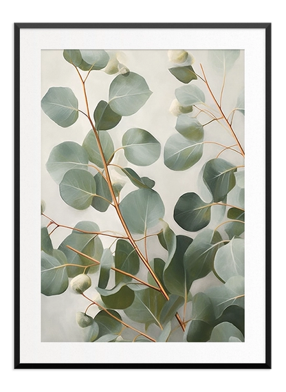 Eucalyptus Poster - Wallpicture