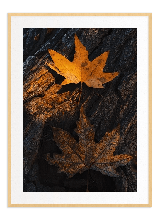 Falling Leaf - Wallpicture