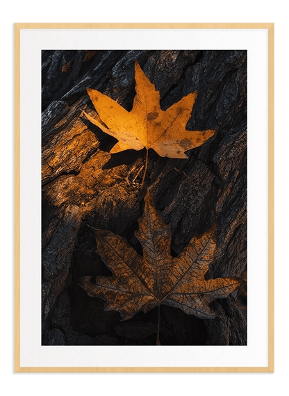 Falling Leaf - Wallpicture