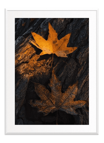 Falling Leaf - Wallpicture