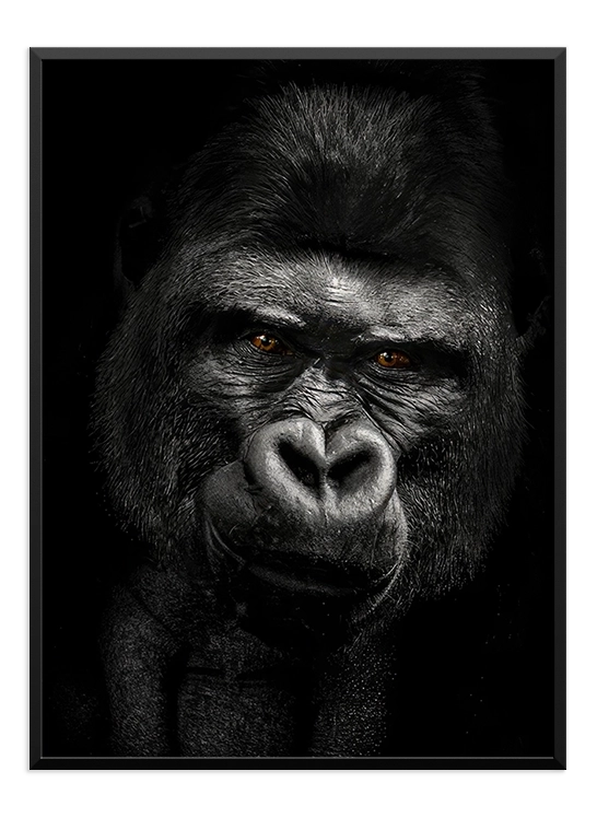 Gorilla Poster - Wallpicture