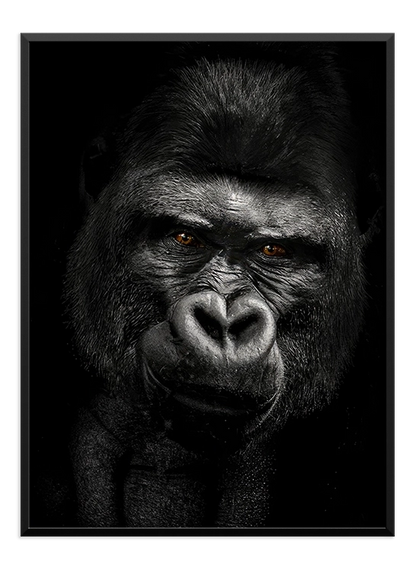 Gorilla Poster - Wallpicture