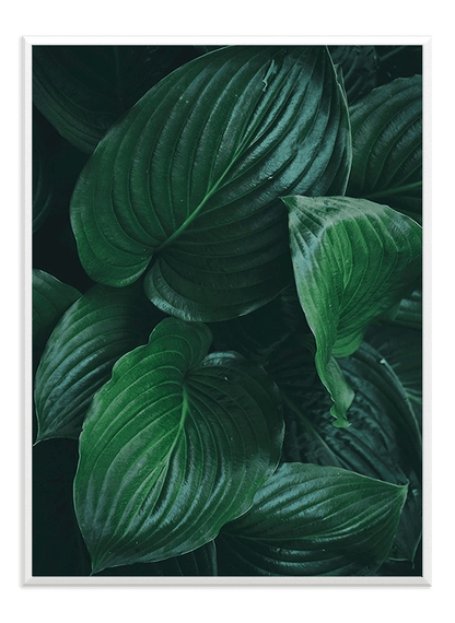 Green leaves - Wallpicture