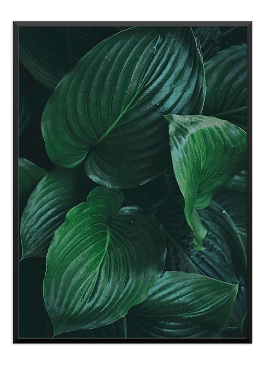 Green leaves Poster - Wallpicture