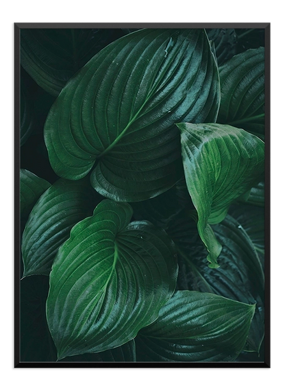 Green leaves Poster - Wallpicture