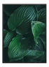 Green leaves Poster - Wallpicture