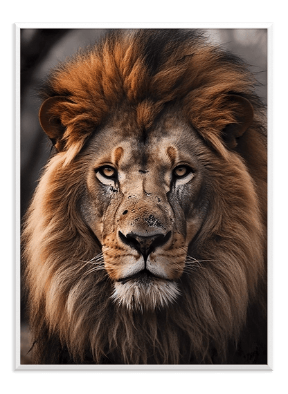 Lion - Wallpicture