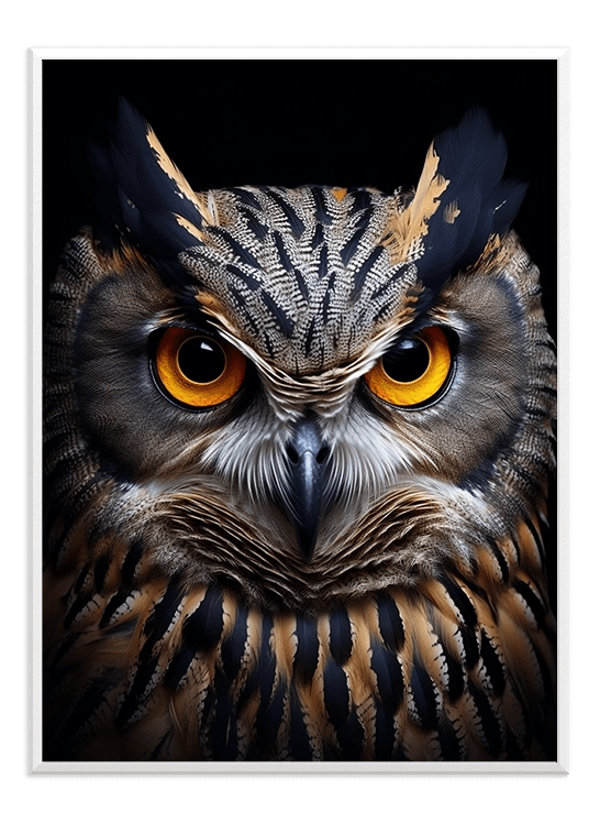 Owl - Wallpicture