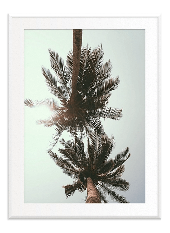 Palm Tree - Wallpicture