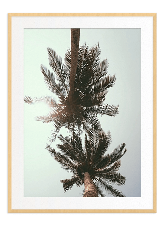 Palm Tree - Wallpicture