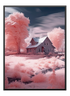 Pink Garden Poster - Wallpicture