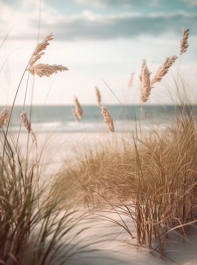 Reeds by the Sea - Wallpicture