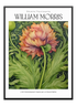 Reveria Fleurissante No. 1 Poster - Wallpicture