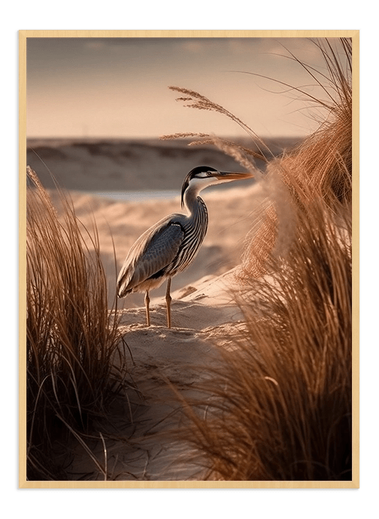 Seaside Bird - Wallpicture