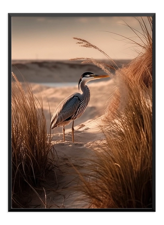 Seaside Bird Poster - Wallpicture