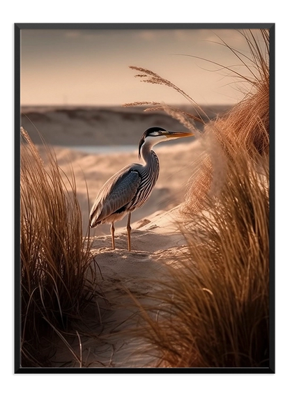 Seaside Bird Poster - Wallpicture