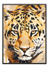 Tiger Watercolor Poster - Wallpicture