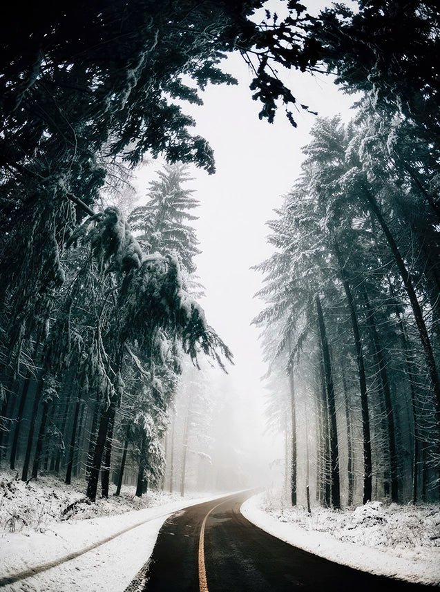 Winter Road - Wallpicture