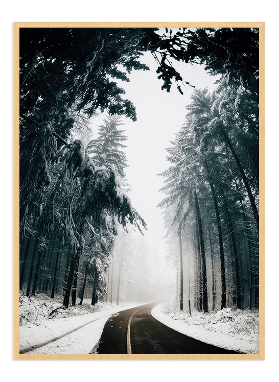 Winter Road - Wallpicture